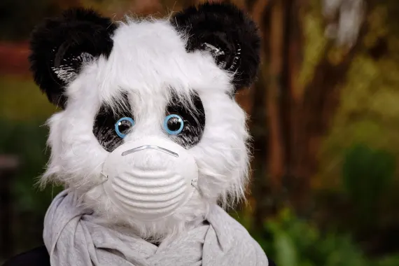 Kasino Cabaret Club Tuki